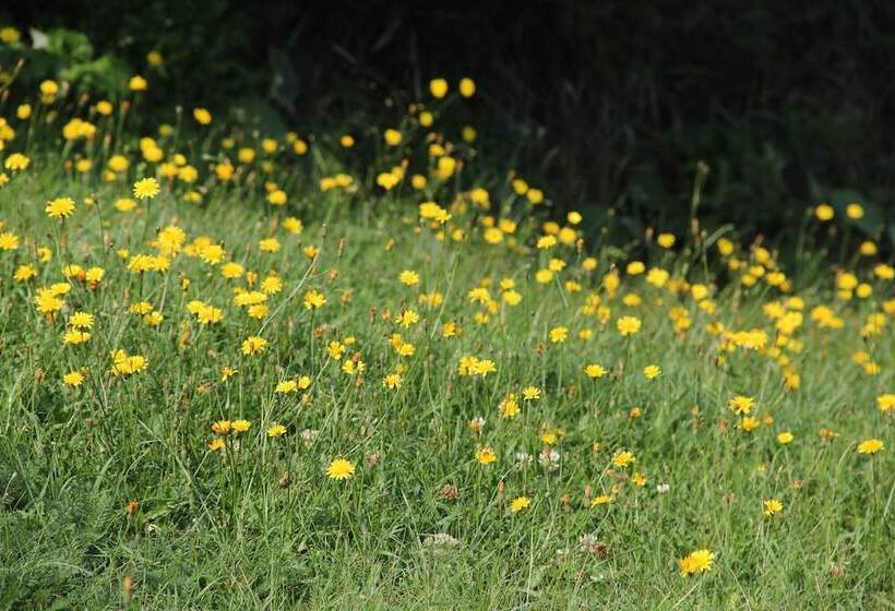 膳宿费 Room In Lodge Luther King Grande Chambre Décor Moderne Et Relaxe