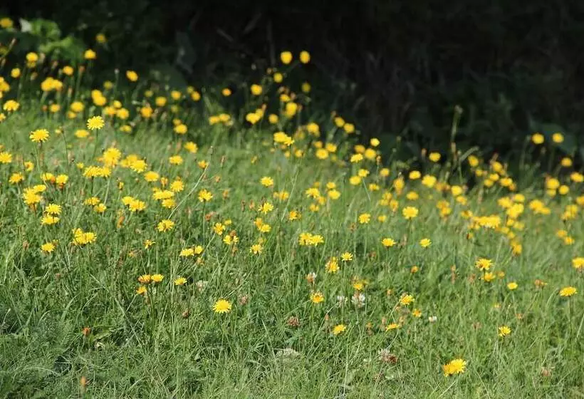 Majatalo Room In Lodge   Luther King Grande Chambre Décor Moderne Et Relaxe