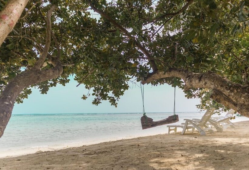 پانسیون Palm Rest Maldives