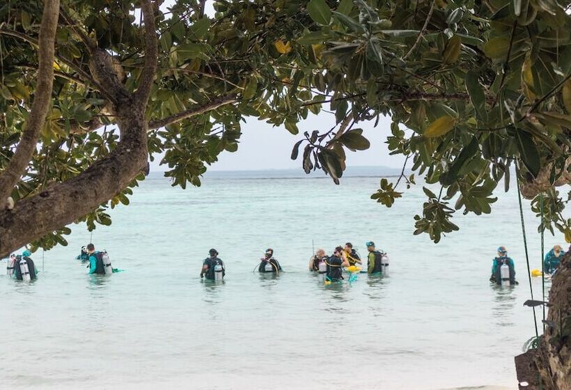 پانسیون Palm Rest Maldives