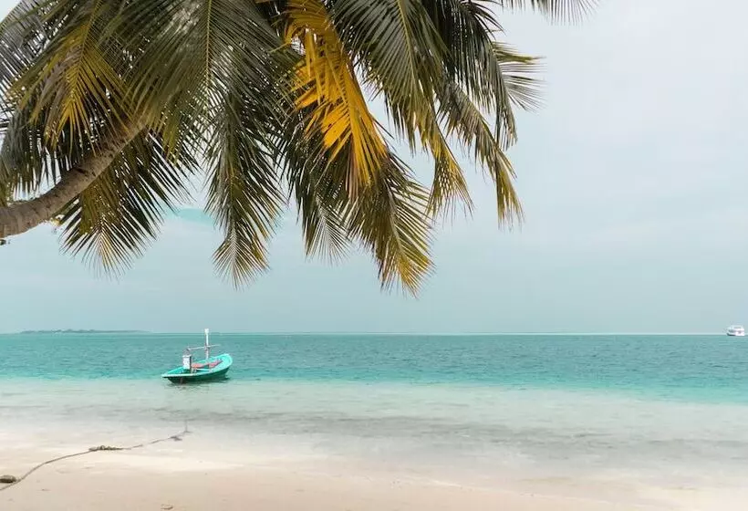 پانسیون Palm Rest Maldives