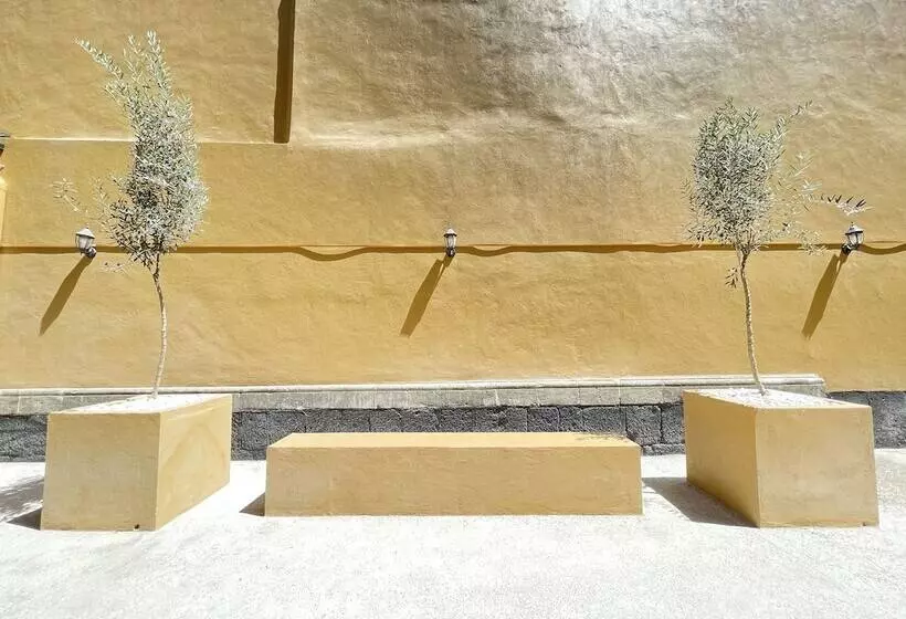 هتل Colmena Centro