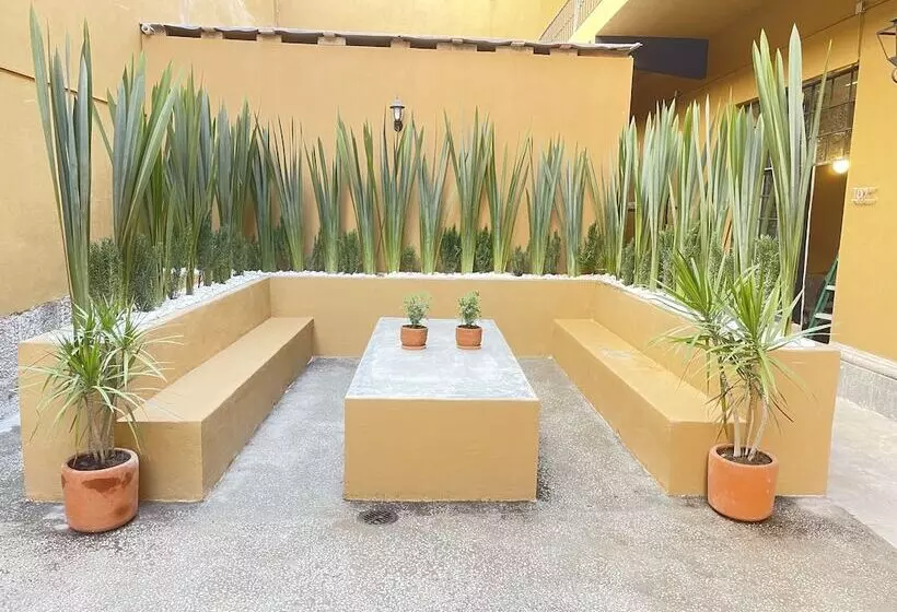 هتل Colmena Centro