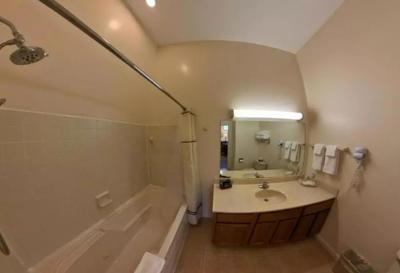 ホテル Grand Wood Suites