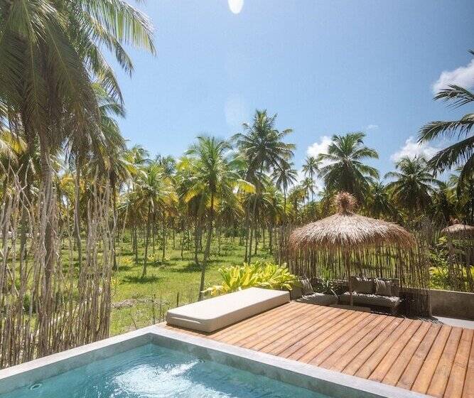 בית מלון כפרי Zai Patacho