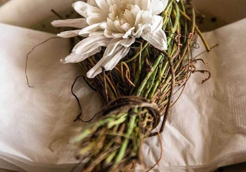 בית מלון כפרי Zai Patacho