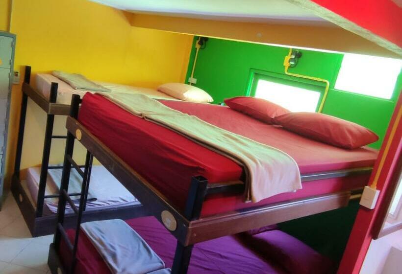 The Funky Monkey Hostel