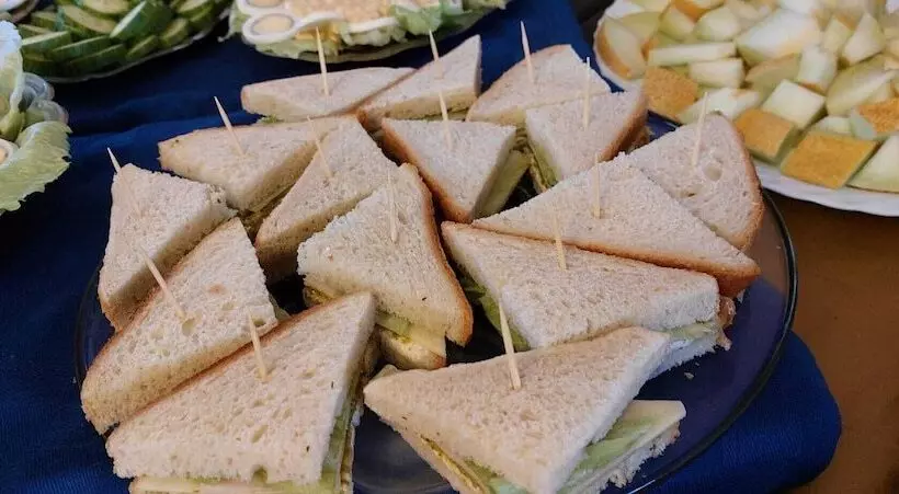 Hotelli Nederhögenvildmarkscenter