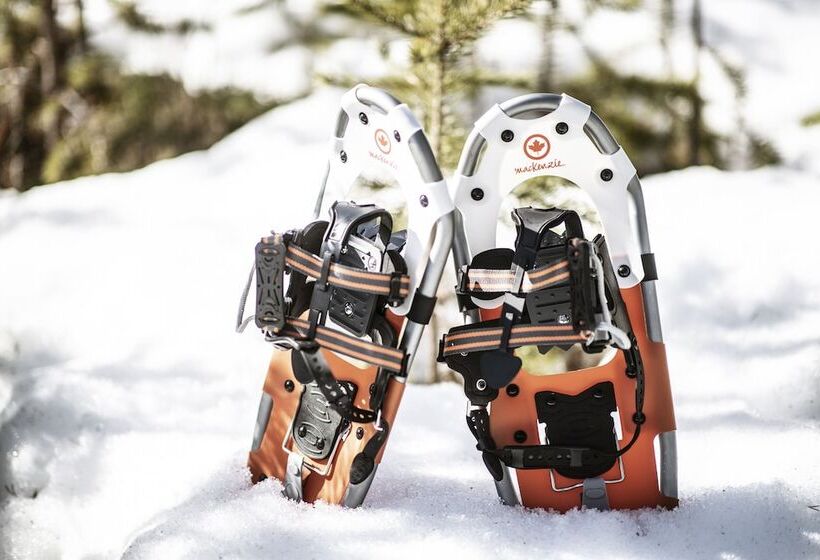 בית מלון כפרי Nederhögenvildmarkscenter