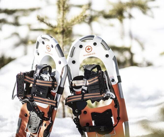 בית מלון כפרי Nederhögenvildmarkscenter