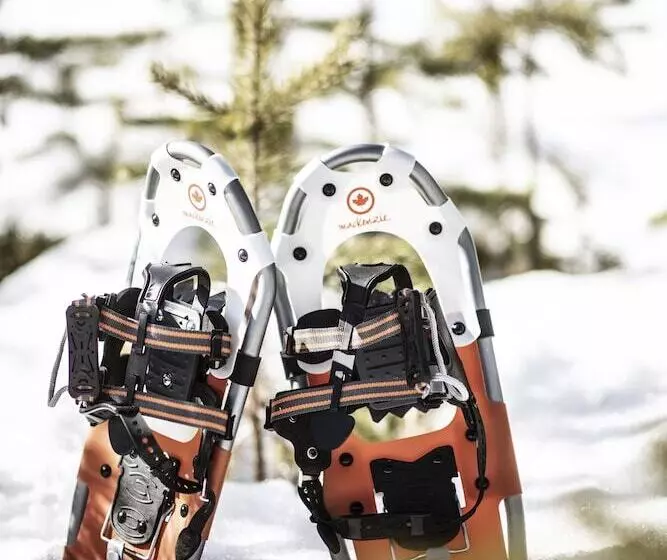 Hotelli Nederhögenvildmarkscenter