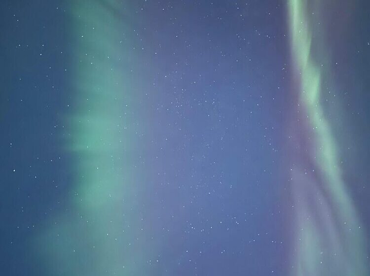 בית מלון כפרי Nederhögenvildmarkscenter