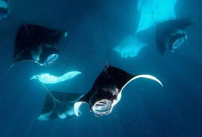 هتل Manta Reserve
