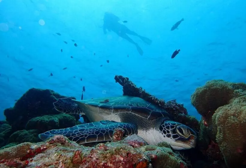 هتل Manta Reserve