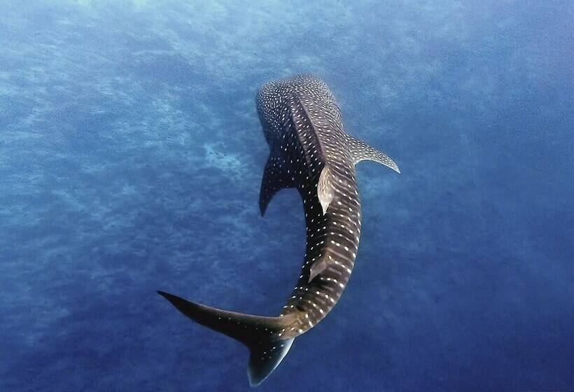 هتل Manta Reserve