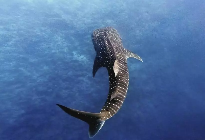 هتل Manta Reserve