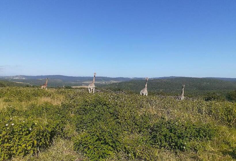 فندق Ngwenkala Game Lodge And Safaris