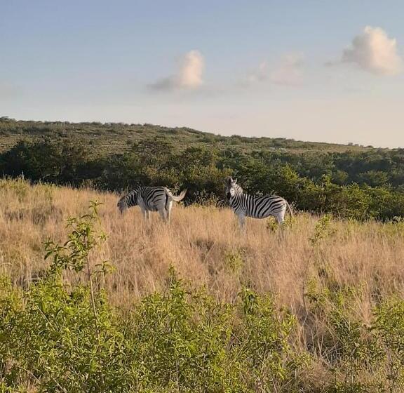 فندق Ngwenkala Game Lodge And Safaris