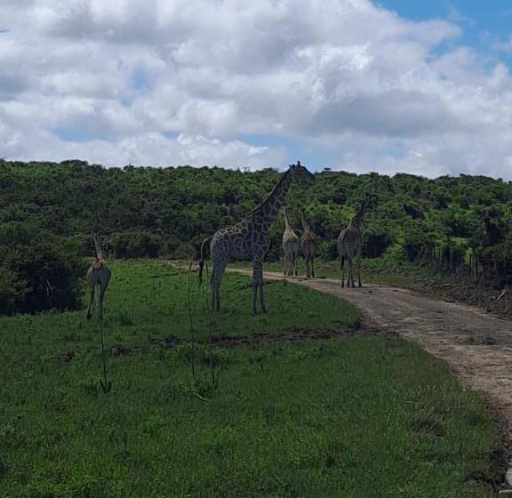 فندق Ngwenkala Game Lodge And Safaris