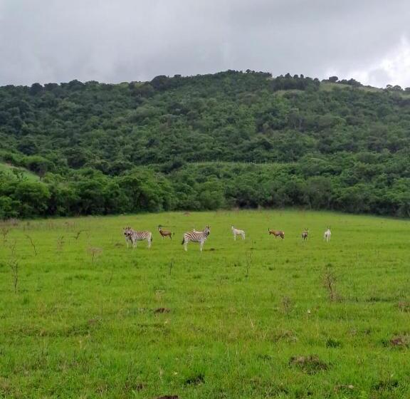 فندق Ngwenkala Game Lodge And Safaris