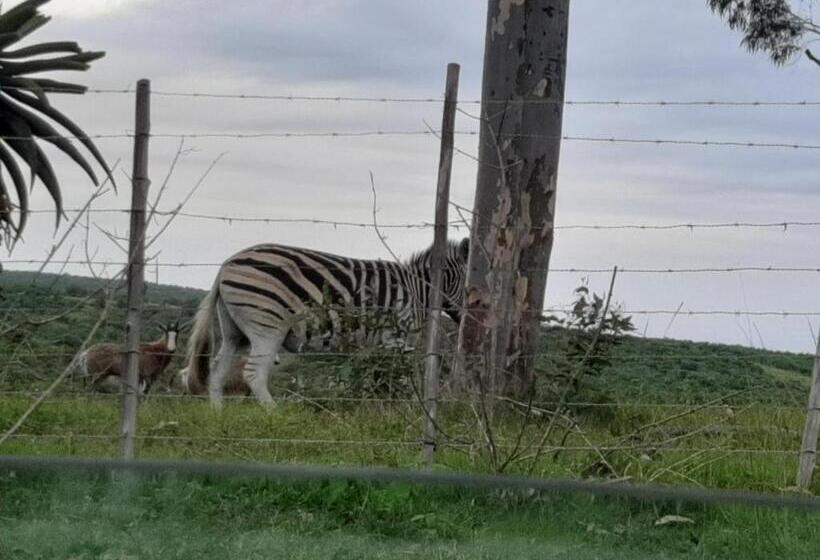 فندق Ngwenkala Game Lodge And Safaris