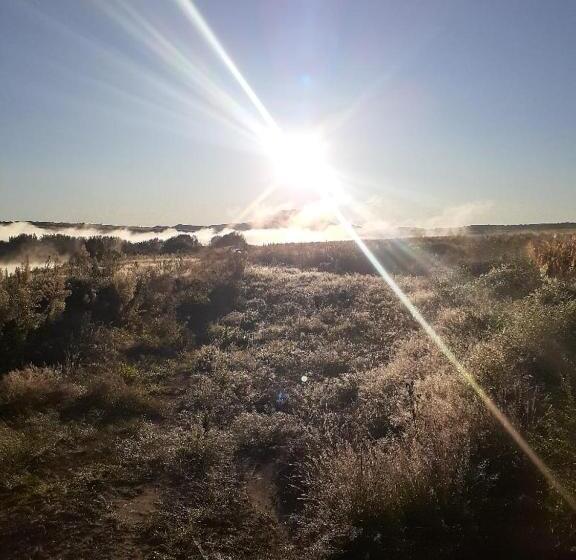 فندق Ngwenkala Game Lodge And Safaris