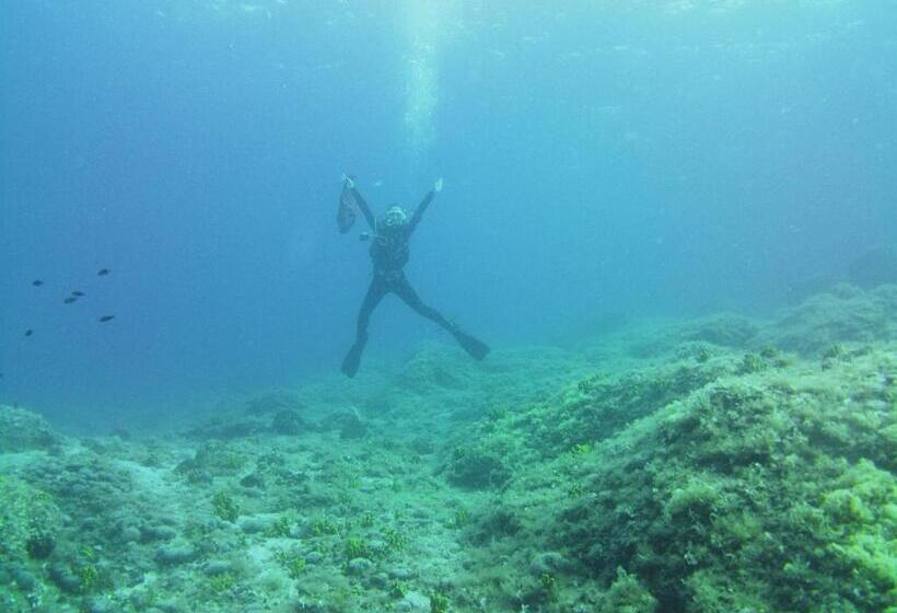 ユースホステル Impact Beach House