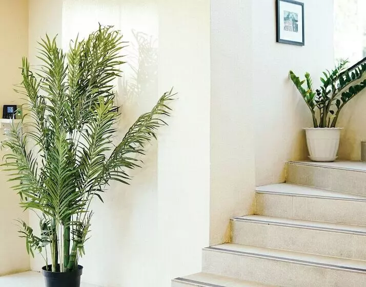 ユースホステル Travelbee Airport Inn