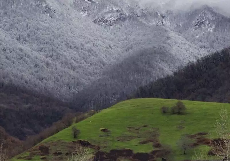 هتل Castle Resort Spa