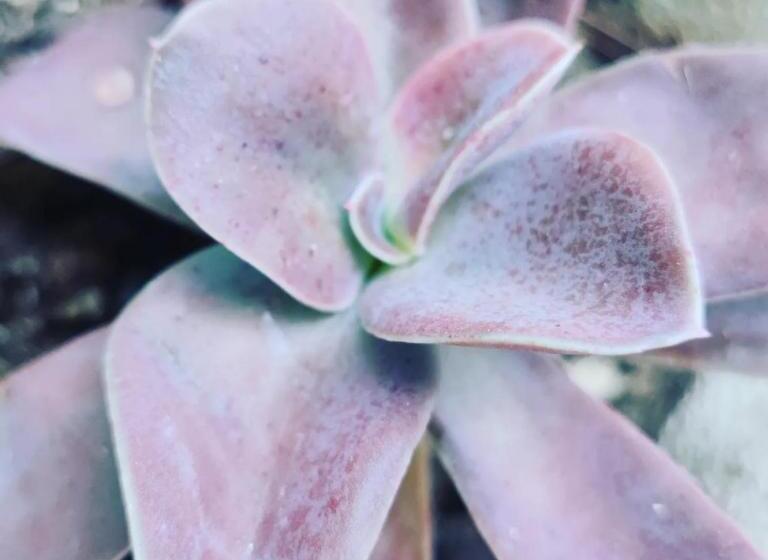 호텔 Girasole Ad Antico Casale 700