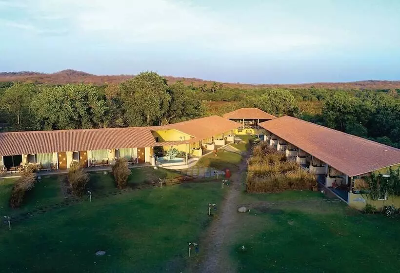 Hotelli Asiatic Lion Lodge