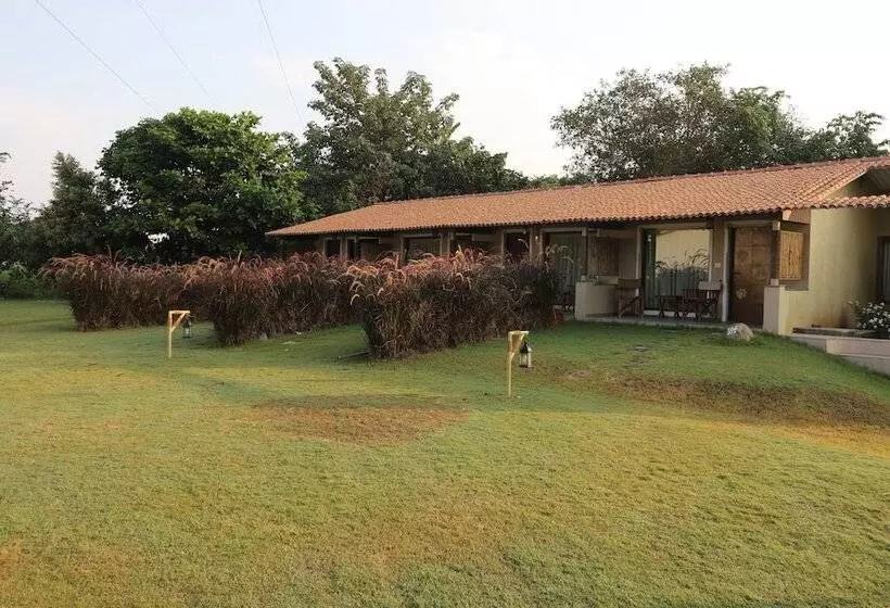 Hotelli Asiatic Lion Lodge
