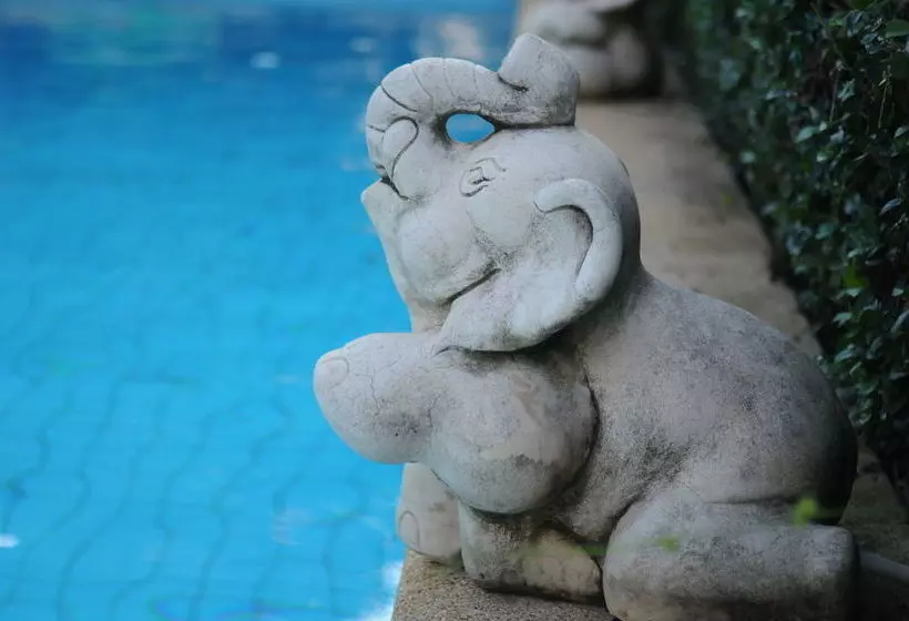 ホテル Phangan Paragon Resort & Spa