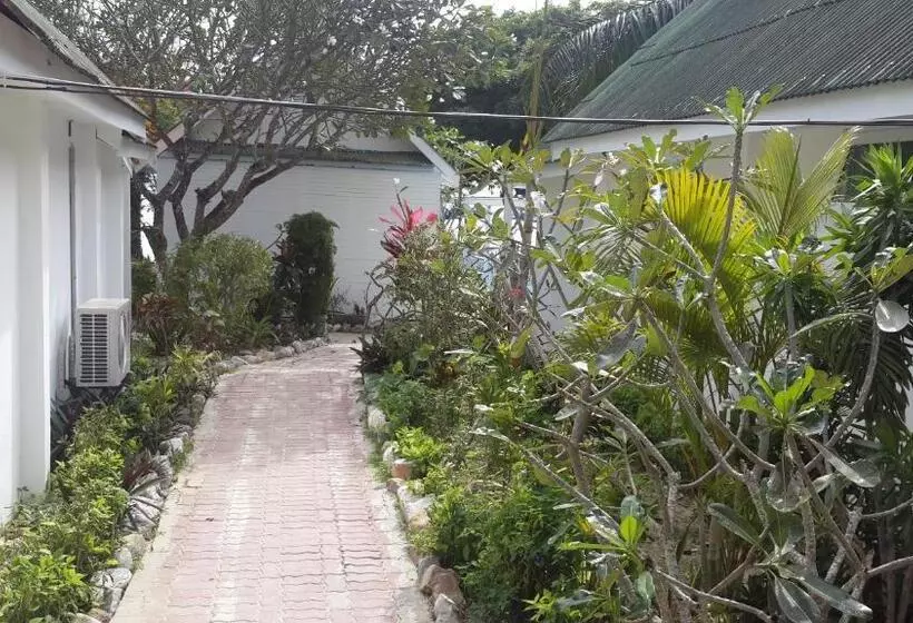 Hotel Pp Blue Sky Resort Sha Plus