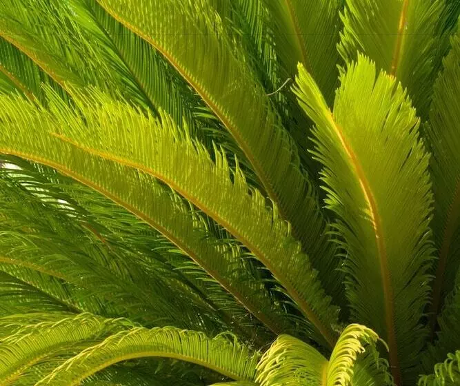 酒店 Relais Cimillà