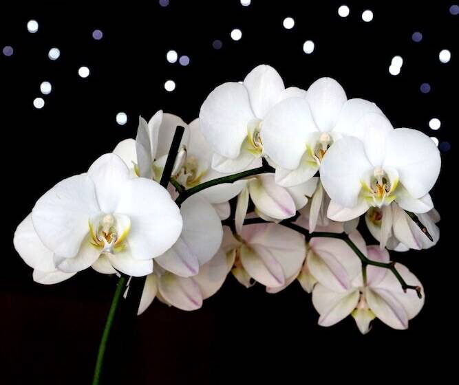 膳宿费 Domaine Rampale