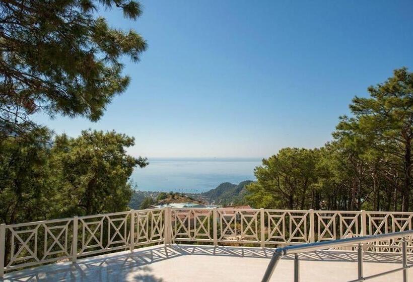 酒店 Nicholas Park