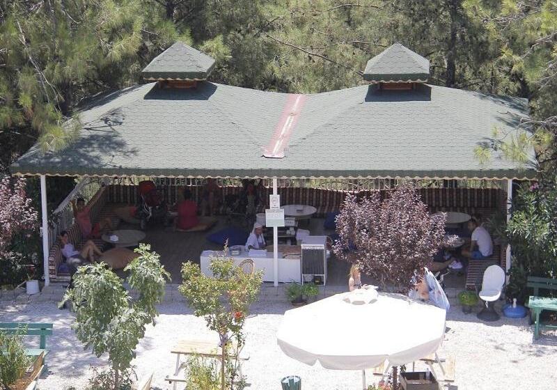 酒店 Nicholas Park