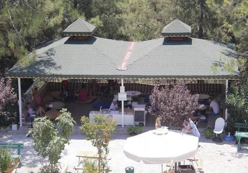 Hotelli Nicholas Park