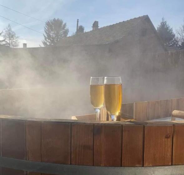 پانسیون Cottage Spa Ada