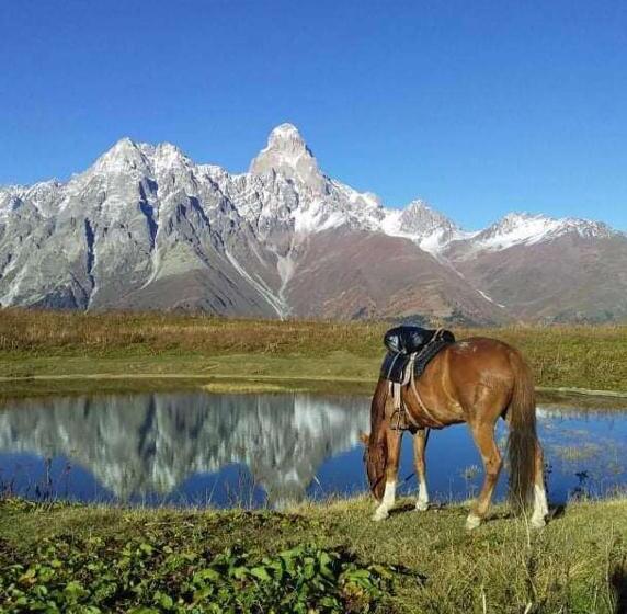 پانسیون Guest House Waterfall