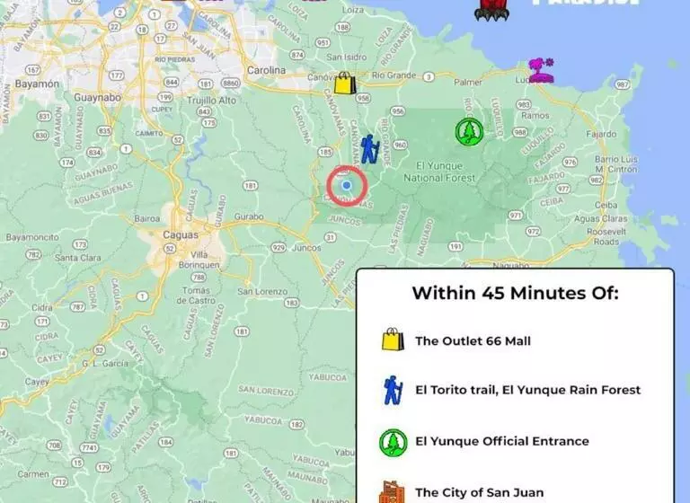 پانسیون Pancho S Paradise   Rainforest Guesthouse With Pool, Gazebo And View