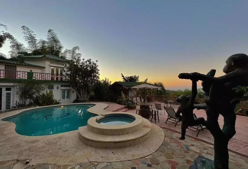 پانسیون Pancho S Paradise   Rainforest Guesthouse With Pool, Gazebo And View