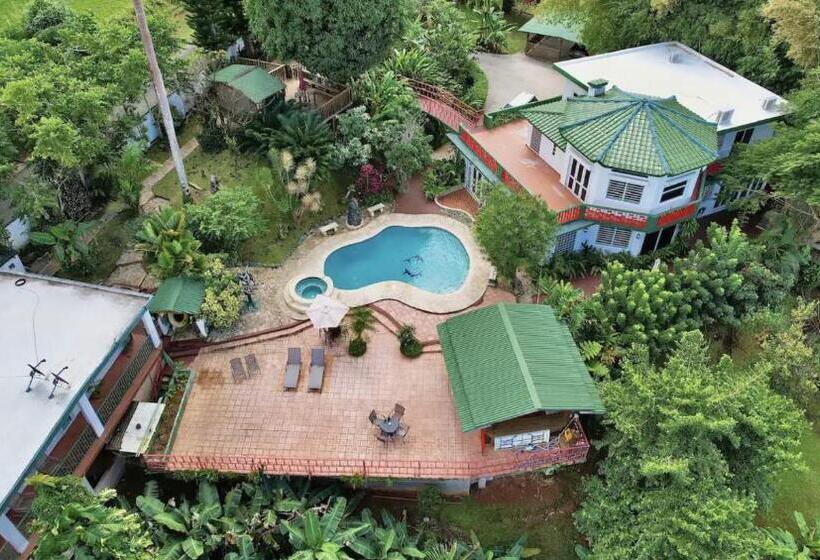 پانسیون Pancho S Paradise Rainforest Guesthouse With Pool, Gazebo And View