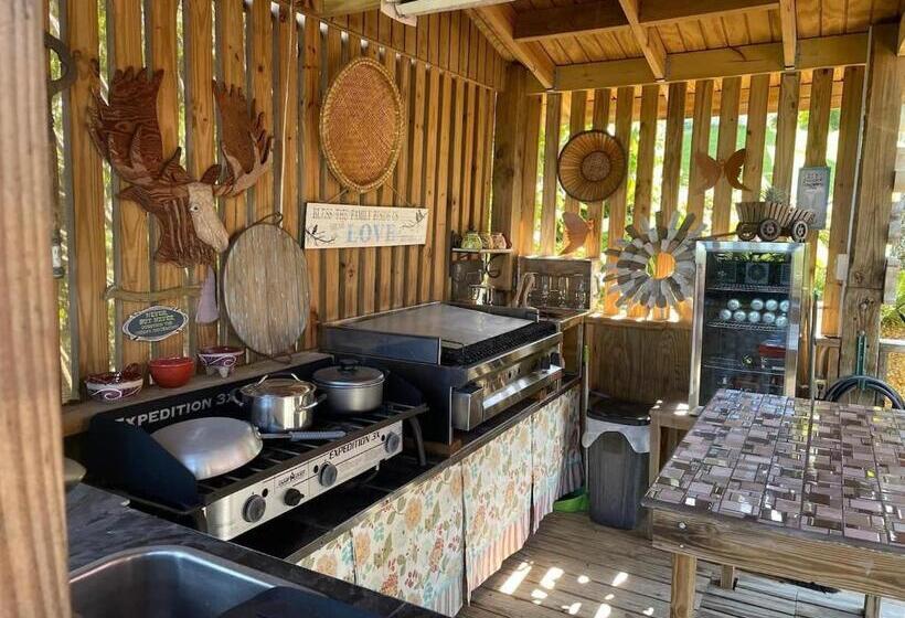 پانسیون Pancho S Paradise Rainforest Guesthouse With Pool, Gazebo And View