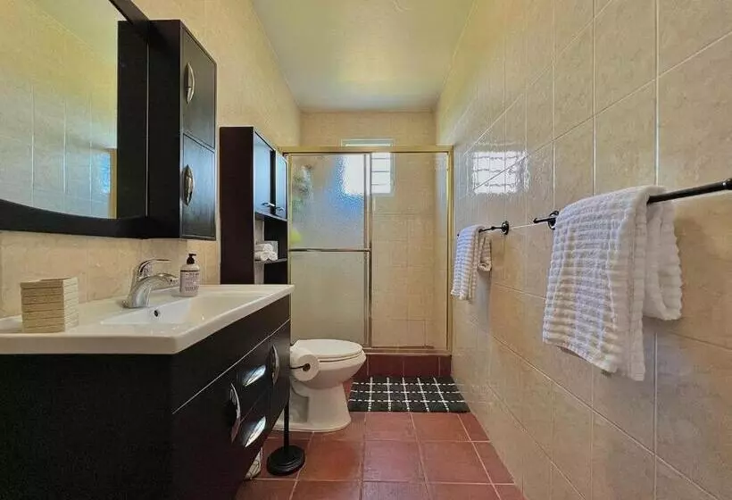 پانسیون Pancho S Paradise   Rainforest Guesthouse With Pool, Gazebo And View