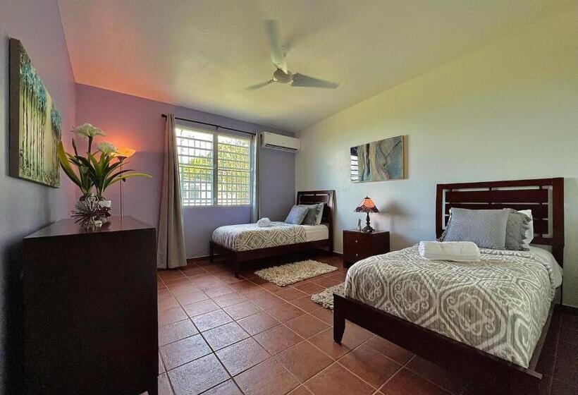 پانسیون Pancho S Paradise Rainforest Guesthouse With Pool, Gazebo And View