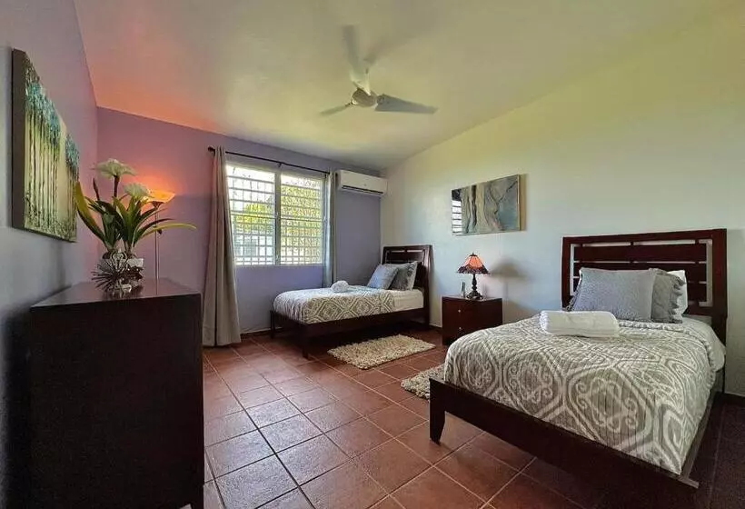 پانسیون Pancho S Paradise   Rainforest Guesthouse With Pool, Gazebo And View