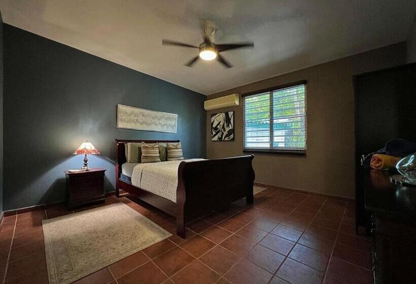 پانسیون Pancho S Paradise Rainforest Guesthouse With Pool, Gazebo And View