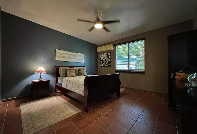 پانسیون Pancho S Paradise   Rainforest Guesthouse With Pool, Gazebo And View